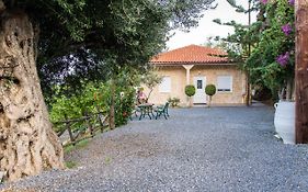 Chic & Spacious House In Rodia Heraklion